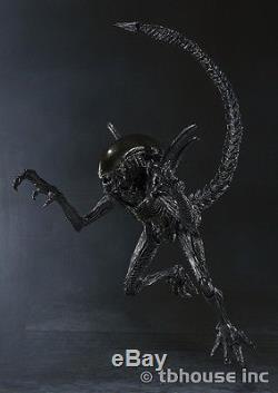 7 Alien Xenomorph Warrior Figure Aliens Vs Predator Avp S H