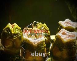 1/12 Scale Alien Egg Predalien Covenant Model for 6 Figure Doll Scene Accessory