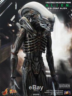 1/6 Hot Toys Alien Big Chap Aliens Warrior Sideshow H. R. Giger Ripley Mms106 New