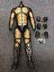 1/6 Hot Toys MMS221 Alien vs Predator Predators Celtic Body Hands Action Figure