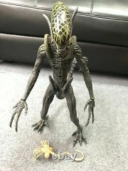 1/6 Rare Hot Toys MMS28 AVP Alien vs Predator Grid Alien Action Figure