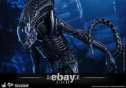 1/6 Sixth Scale Movie Masterpiece Alien Warrior Figure Hot Toys