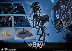 1/6 Sixth Scale Movie Masterpiece Alien Warrior Figure Hot Toys NIB SIDESHOW