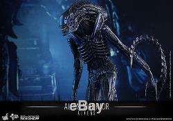 1/6 Sixth Scale Movie Masterpiece Alien Warrior Figure Hot Toys Used JC
