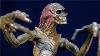 Alien Resurrection Newborn Xenomorph Kenner Hasbro Action Figure Review