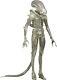 ALIEN Translucent Prototype Alien 1/4 Scale Action Figure (NECA) #NEW