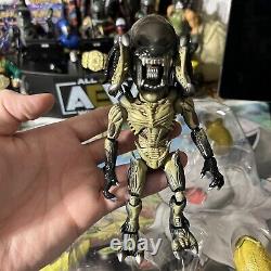 ALIEN VS PREDATOR 6 Herocross HMF #032 PREDALIEN Action Figure Displayed