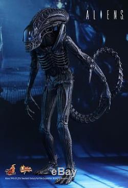 ALIENS Alien Warrior 1/6 Scale Action Figure MMS354 (Hot Toys) #NEW