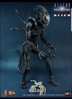 AVP Requim/Alien Warrior w Face Hugger 1/6 scale Hot Toys Sideshow Collectibles