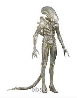 Alien Concept Xenomorph Translucent Prototype Suit 14 Scale 22 Figure OE