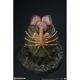 Alien Egg with Light Up Feature 5 Sideshow SS20526 New