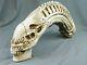 Alien Xenomorph 18 Resin Skull Avp Predator Movie Trophy Statue