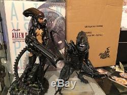 Alien vs. Predator 16 Alien Girl AVP Figure Hot Toys With Hot Toys Alien