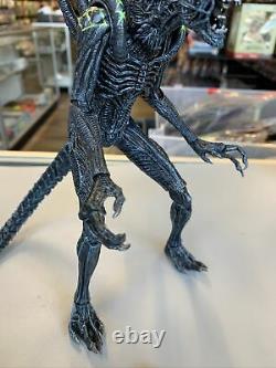 Alien vs. Predator AVP Grid vs Celtic NECA Loose Alien Figure Only