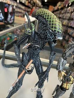 Alien vs. Predator AVP Grid vs Celtic NECA Rivalry Reborn 2 Pack Lot