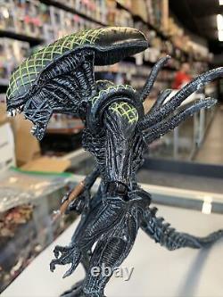 Alien vs. Predator AVP Grid vs Celtic NECA Rivalry Reborn 2 Pack Lot