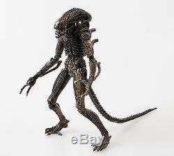 Aliens AVP 8in. Action figure Alien Xenomorph warrior the brown ver. Boxed
