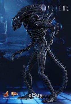 Aliens Alien Warrior 1/6 Scale Hot Toys Action Figure