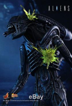Aliens Alien Warrior 1/6 Scale Hot Toys Action Figure