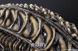 Aliens Alien Warrior Life-Size Head Prop Replica Sideshow 902729