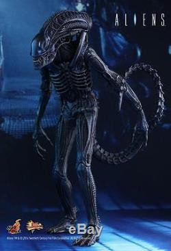 Aliens Xenomorph Alien Warrior 14 Hot Toys 1/6 Scale Figure MMS