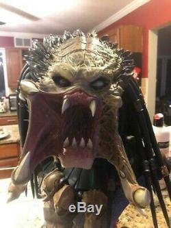 Avp Alien vs Predators Wolf Predator Legendary Scale Bust Sideshow. Com Exclusive