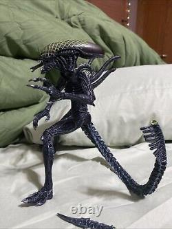 Avp Rivalry's Reborn Grid Xenomorph 100% Authentic