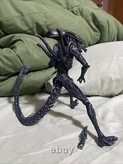 Avp Rivalry's Reborn Grid Xenomorph 100% Authentic