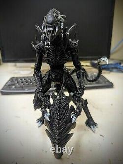 Custom Neca Boar Alien, Black version MADE TO ORDER