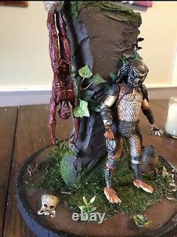 Custom predator v Alien Diorama