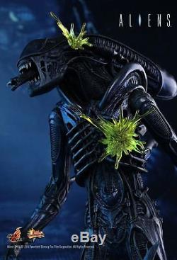 Hot Toys Aliens Alien Warrior 16 Scale Collectible Figure