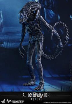 HOT TOYS Aliens ALIEN WARRIOR 13.5 1/6 Scale Figure Sideshow Ripley Xenomorph