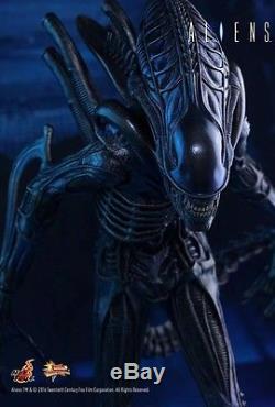HOT TOYS mms354 Aliens Warrior Collectible 1/6 Alien Figure US Free ship