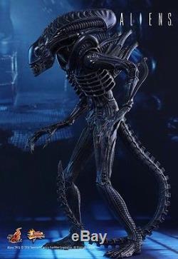 HOT TOYS mms354 Aliens Warrior Collectible 1/6 Alien Figure US Free ship