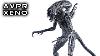 Hiya Toys Xeno Warrior Alien Vs Predator Requiem Action Figure Review