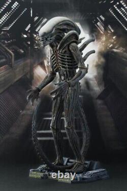 Hot Toys 1/6 Alien Big Chap Figure MMS106 Rare Used Free Shipping From Japan