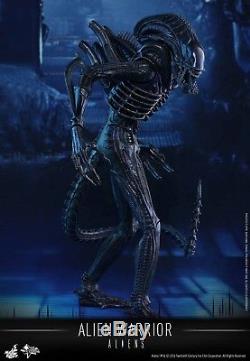 Hot Toys 1/6 Aliens Classic Alien Warrior 14 Figure Boxed With Shipper