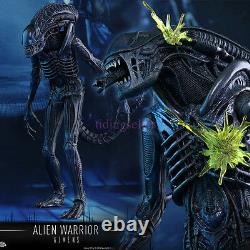 Hot Toys 1/6 Aliens MMS354 -Alien Warrior 30th anniversary of Aliens IN STOCK