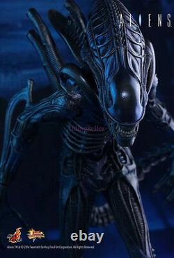 Hot Toys 1/6 Aliens MMS354 -Alien Warrior 30th anniversary of Aliens IN STOCK