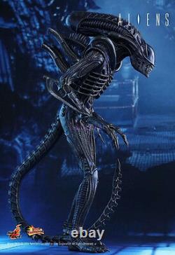 Hot Toys 1/6 Aliens MMS354 -Alien Warrior 30th anniversary of Aliens IN STOCK