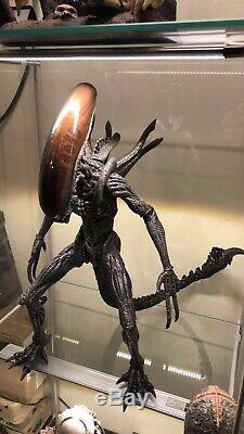 Hot Toys AVP Alien Warrior 16 Scale Figure MMS17 Alien VS Predator Sideshow