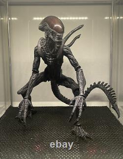 Hot Toys AVP Alien Warrior Collectible Figure 2004 Version MMS17 LOOSE