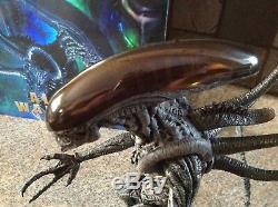 Hot Toys AVP Alien vs Predator Alien Warrior 16 Scale Figure MMS17