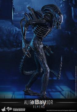 Hot Toys Alien Warrior 1/6 Scale Figure Aliens 30th Anniversary Ripley New