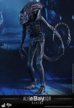 Hot Toys Alien Warrior, 16 Aliens Action Figure Collectible, MMS 354