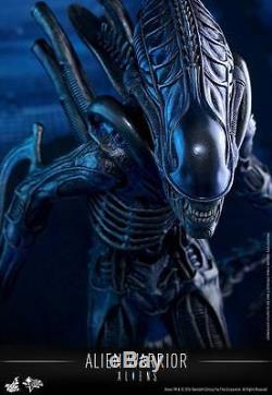 Hot Toys Alien Warrior, 16 Aliens Action Figure Collectible, MMS 354