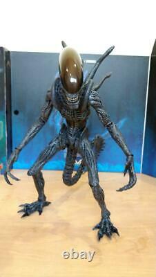 Hot Toys Alien Warrior Figure Alien USED Good Condition