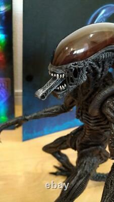 Hot Toys Alien Warrior Figure Alien USED Good Condition