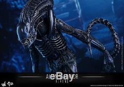Hot Toys Aliens 1/6th scale Alien Warrior Collectible Figure MMS354
