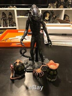 Hot Toys Aliens Alien Warrior 1/6 Scale Figure MMS354 + Alien Eggs & Face Hugger